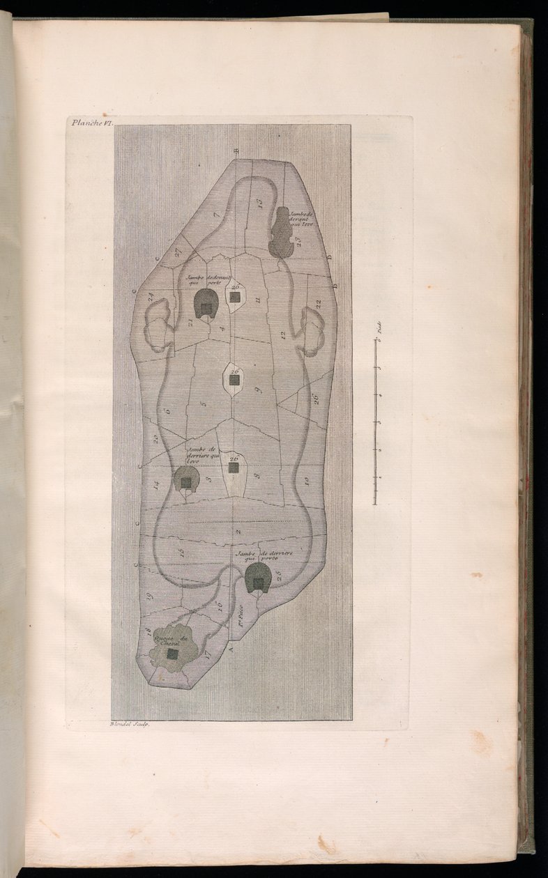 Ciltli Baskı (Fransa) by Jacques François Blondel