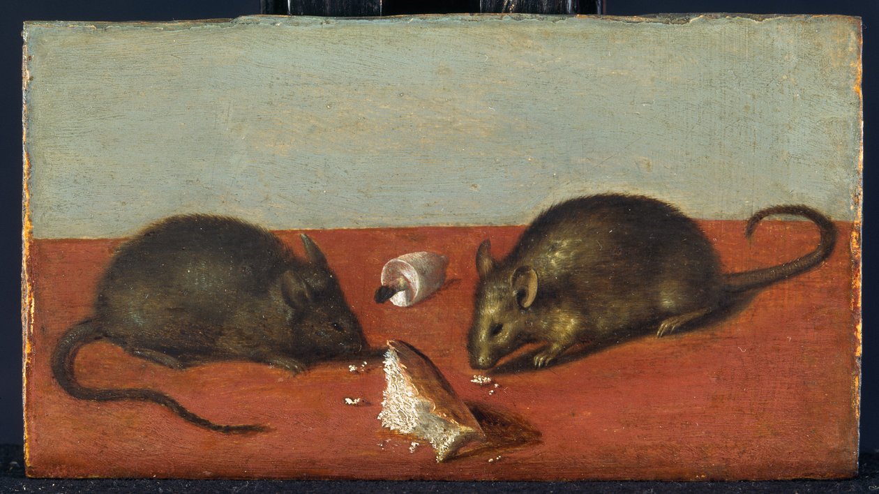  by Jacques II de Gheyn
