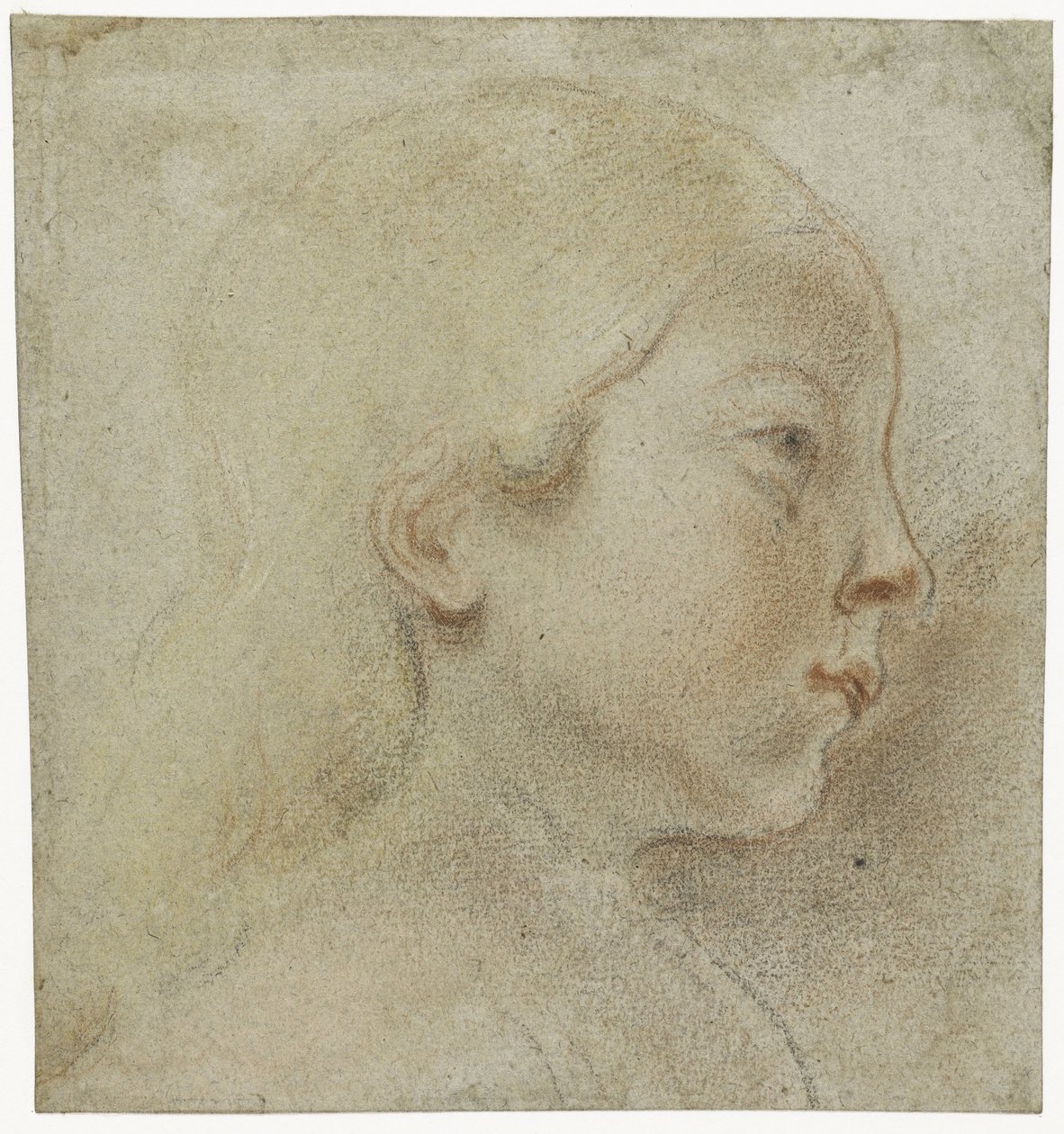 Çocuğun başı, sağda by Jacques Jordaens