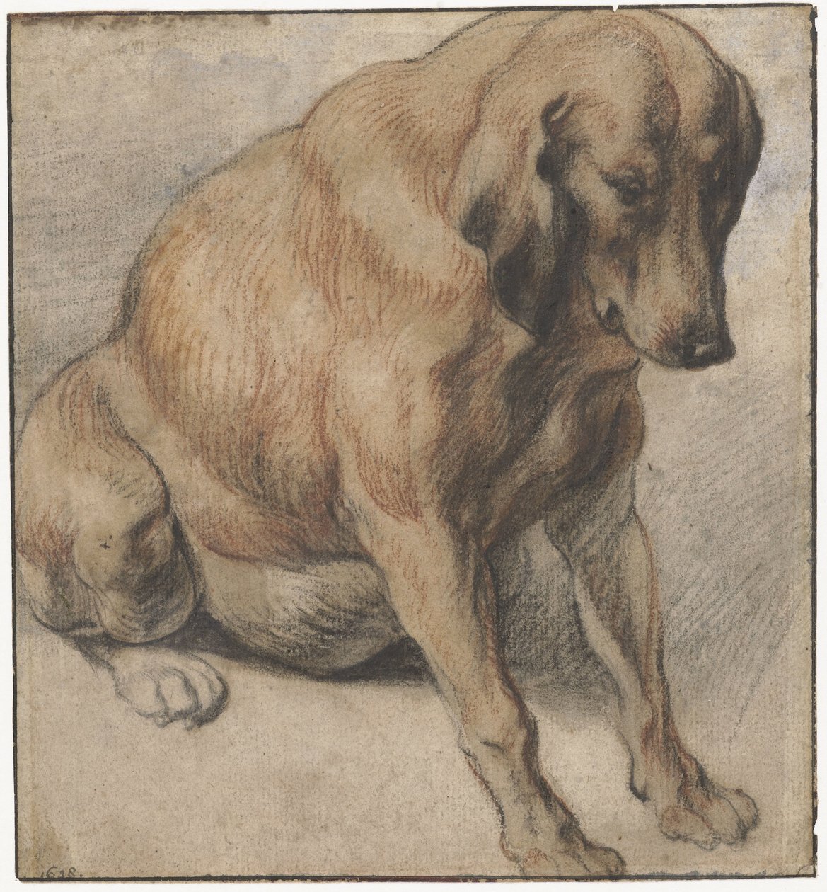 Oturan Köpek Hamile Köpek Oturan by Jacques Jordaens