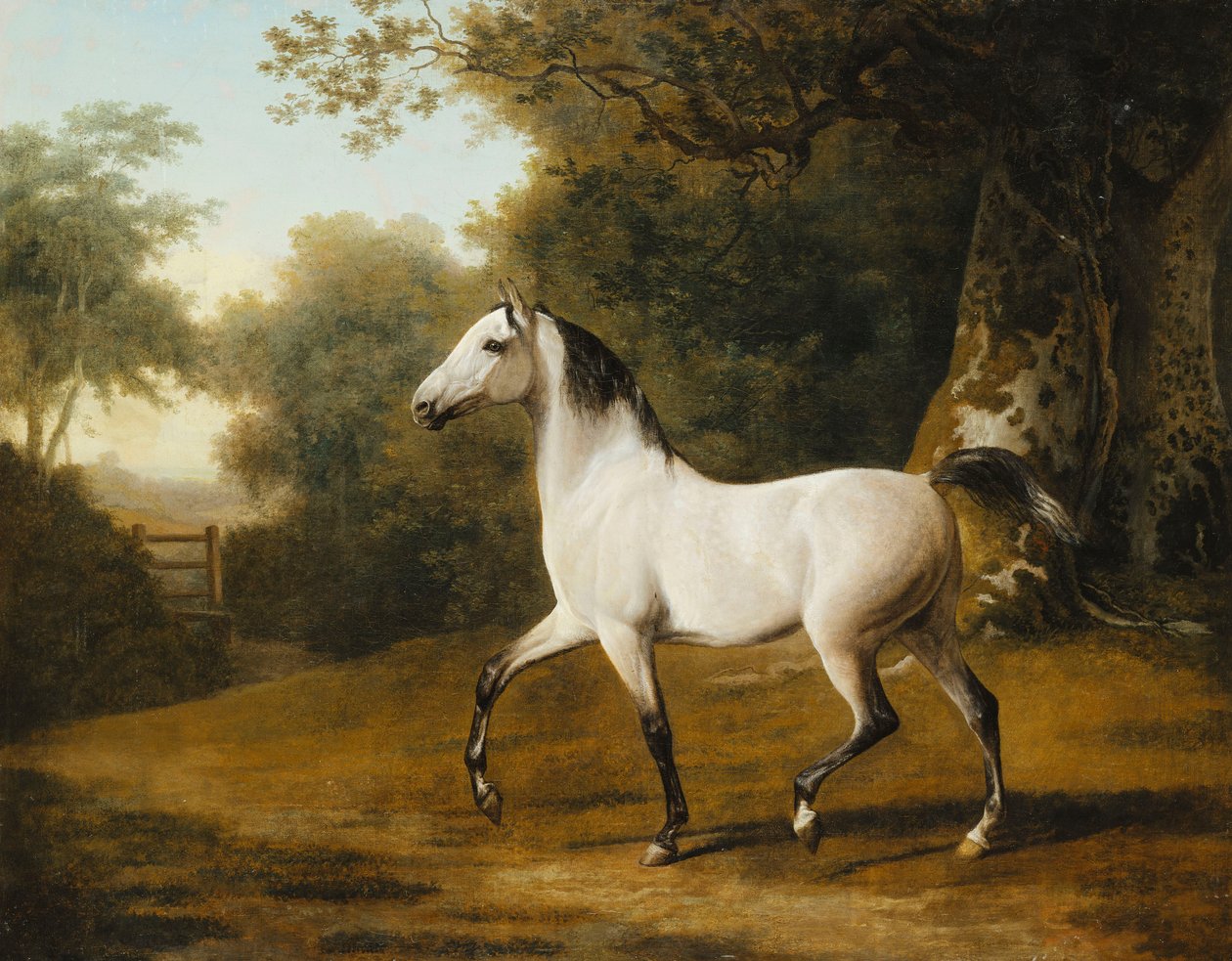 Ormanlık Bir Peyzajda Gri Bir Arap Aygırı, by Jacques Laurent Agasse