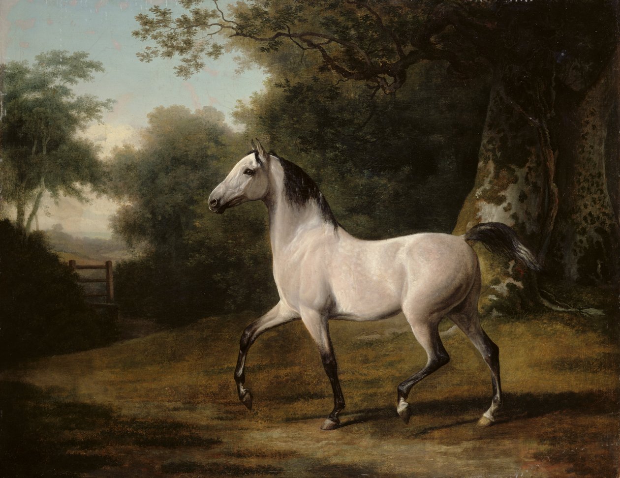 Ormanlık bir arazide gri bir Arap aygırı by Jacques Laurent Agasse