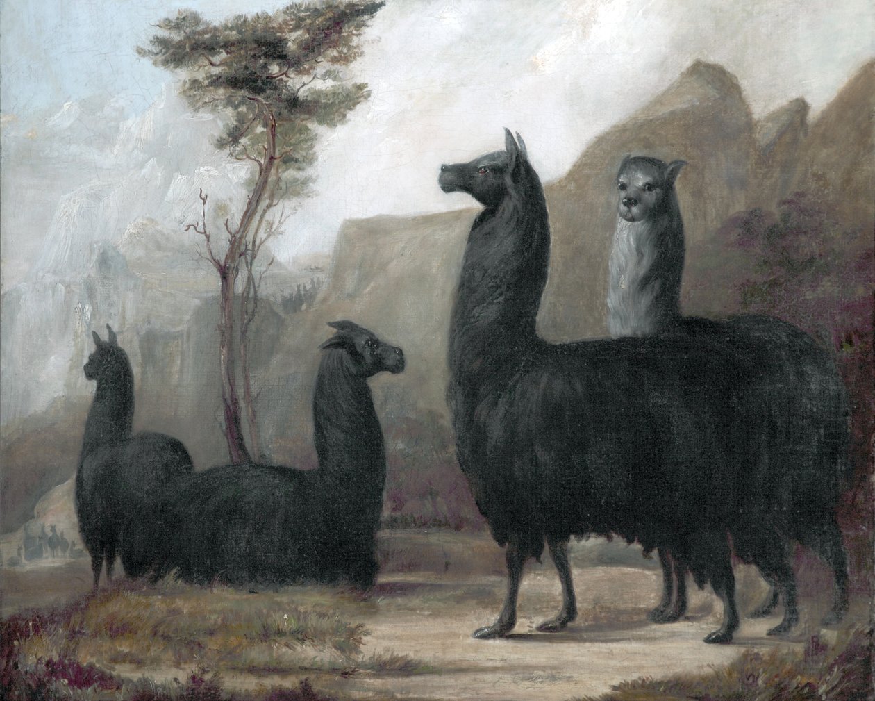 alpakalar by Jacques Laurent Agasse