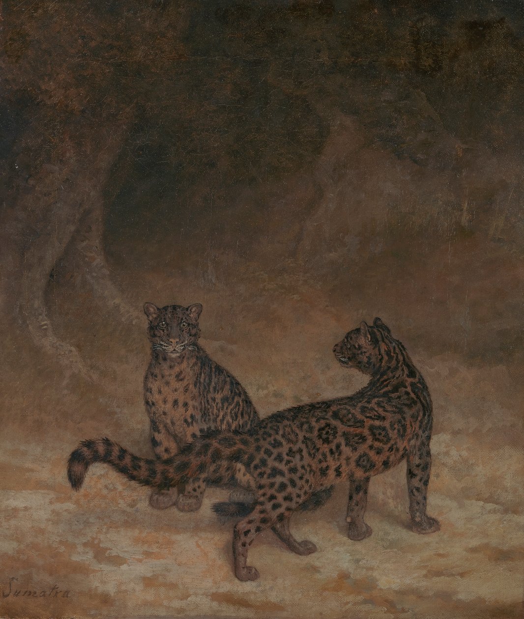 bulutlu leoparlar by Jacques Laurent Agasse