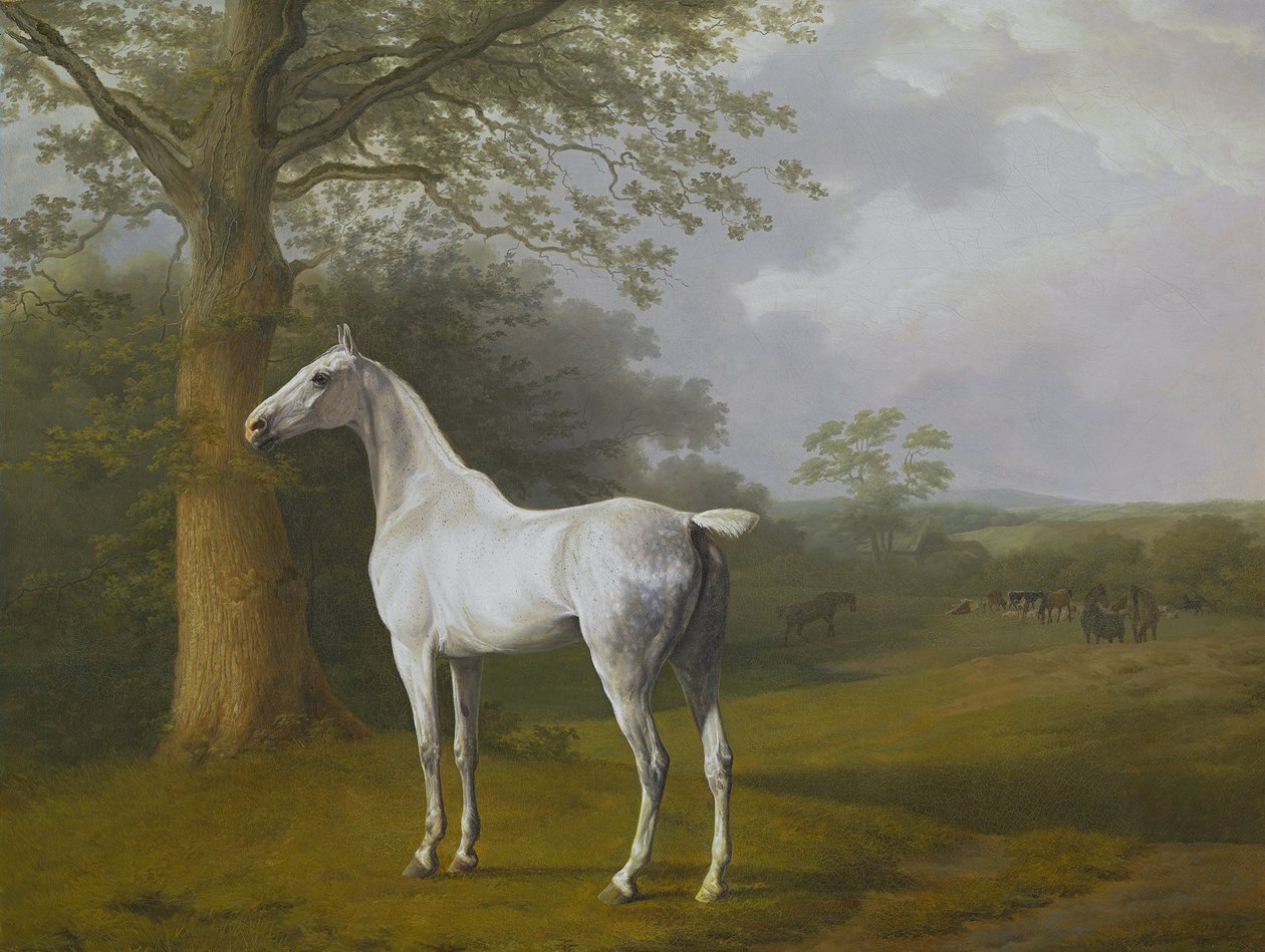  by Jacques Laurent Agasse