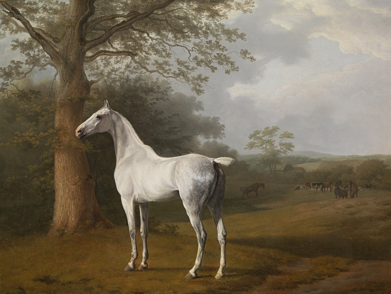  by Jacques Laurent Agasse