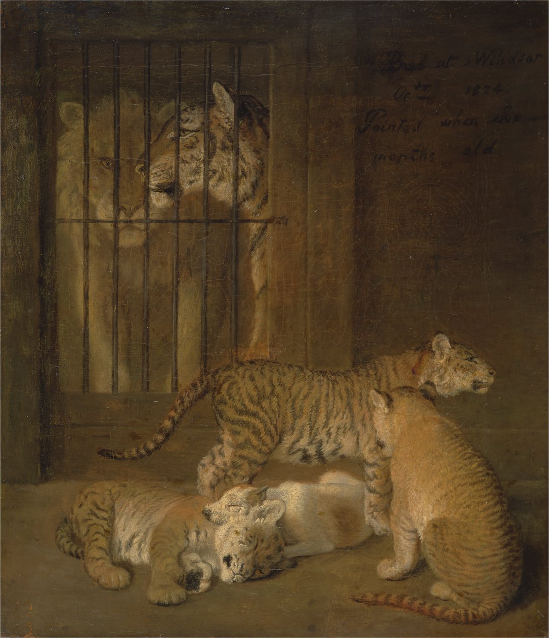 Bir Aslan ve Kaplan Arasında Yetiştirilmiş Delikanlılar Grubu by Jacques Laurent Agasse