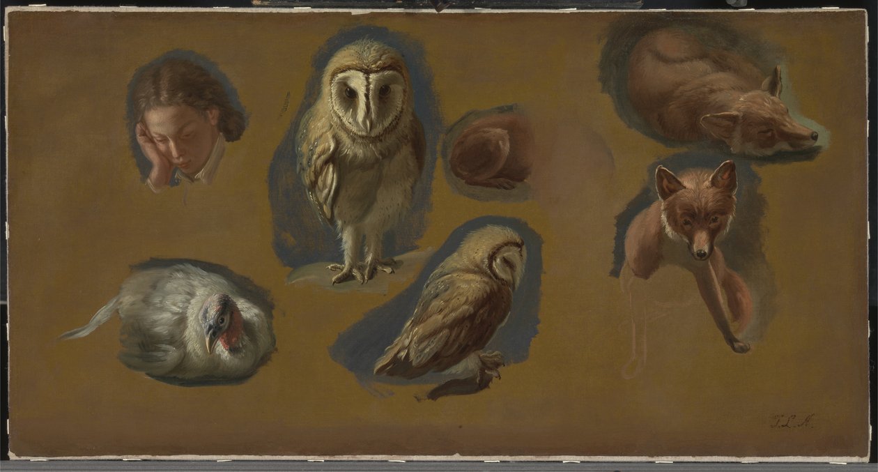 Tilki, Peçeli Baykuş, Peahen ve Genç Adam Kafası Çalışmaları by Jacques Laurent Agasse