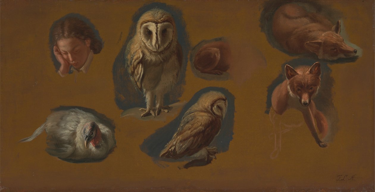 Bir Tilki, Peçeli Baykuş, Peahen ve Genç Bir Adamın Başı Üzerine Çalışmalar by Jacques Laurent Agasse