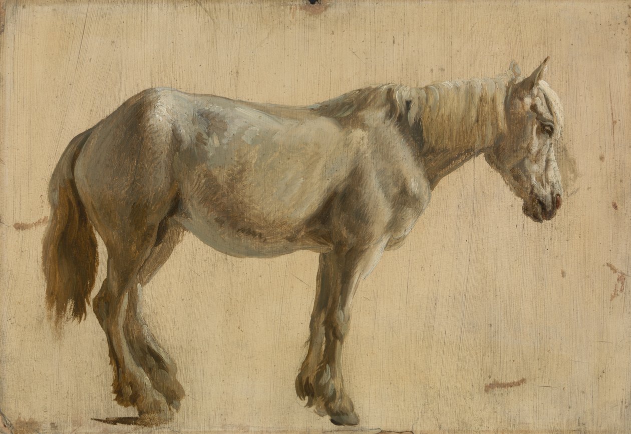 Gri At Çalışması (kağıt üzerinde yağlı boya) by Jacques Laurent Agasse