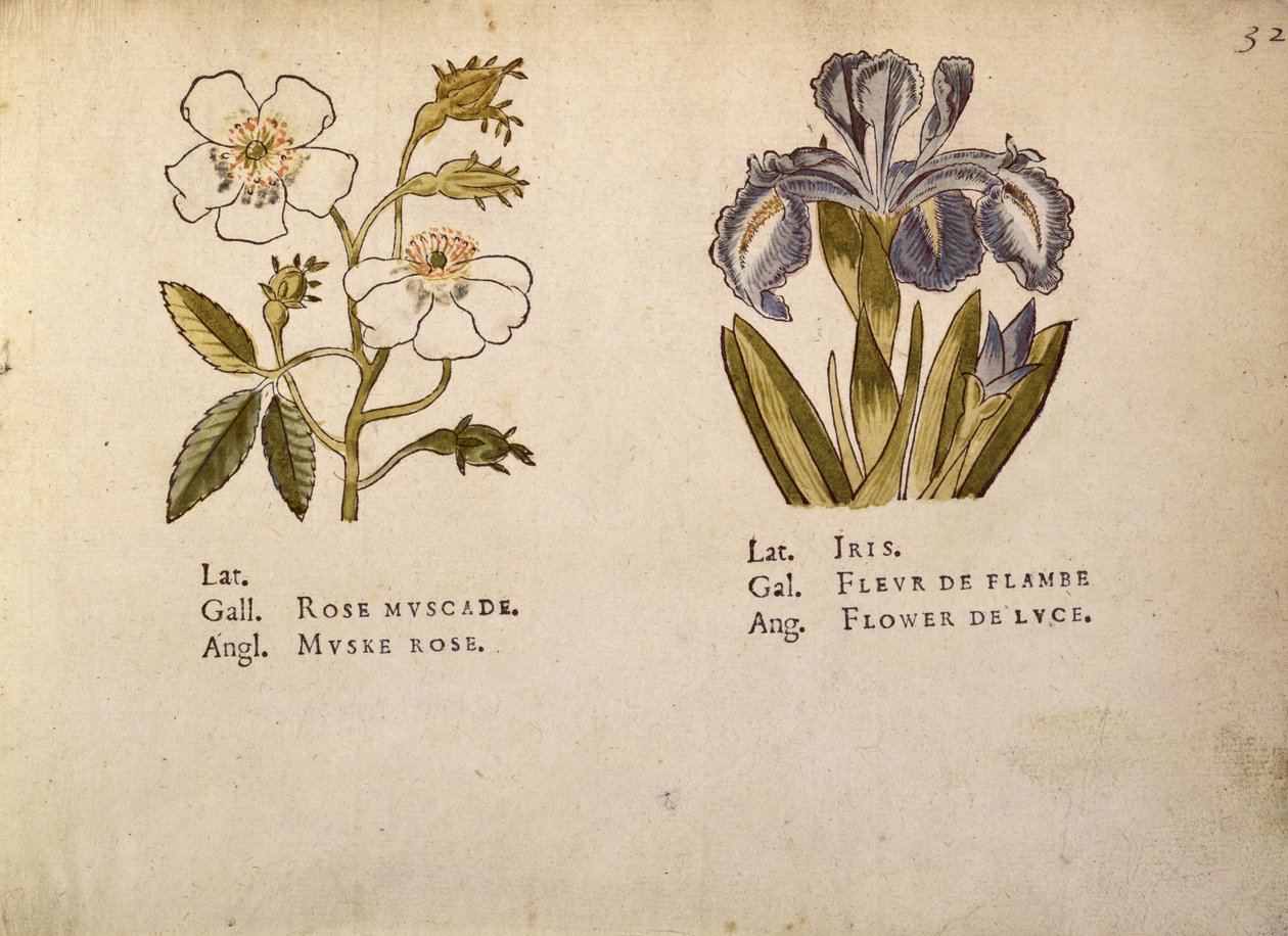 La Clef des Champs