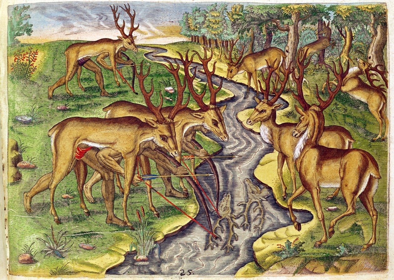 Theodore de Bry (1528-98) tarafından oyulmuş 
