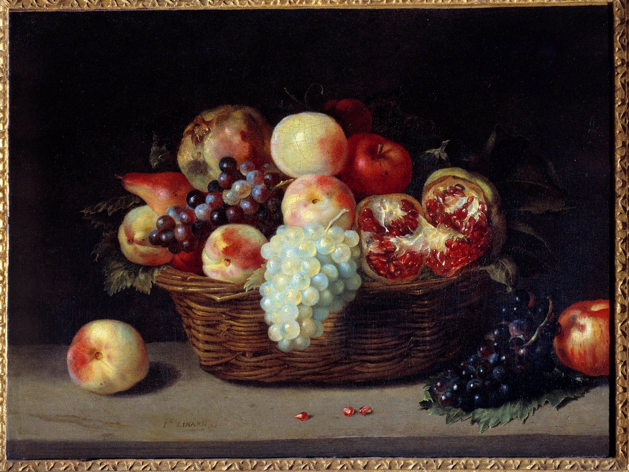 El bombası, şeftali ve üzüm sepeti Boyama Jacques Linard (1600-1645) 17. yüzyıl Güneş. 0,46x0,61 m by Jacques Linard
