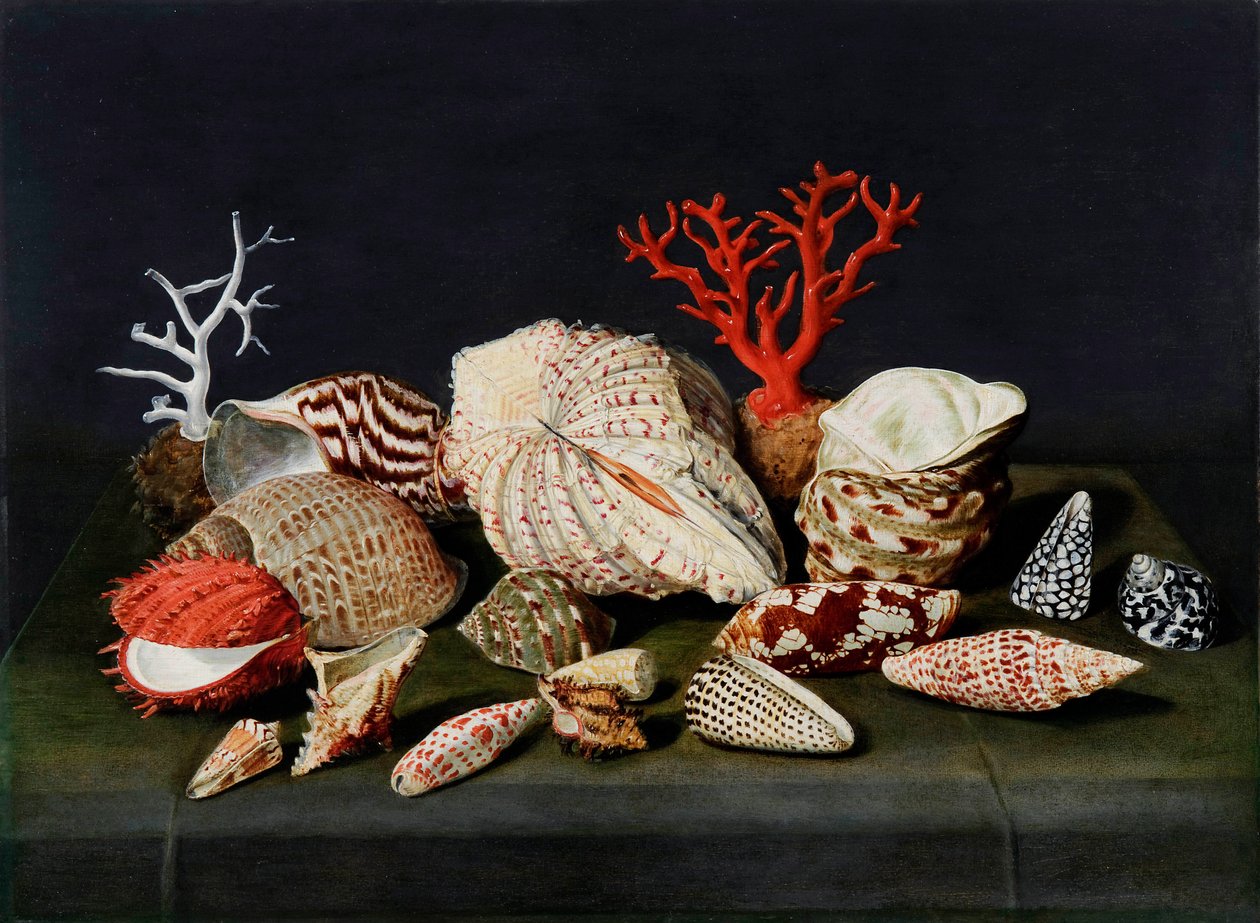 ""Kabuklar ve mercanlarla natürmort"" (Kabuklar ve mercanlarla natürmort) Boyama Jacques Linard (1597-1645), - Ahşap üzerine yağlı boya, 47x64 - Fondation Custodia by Jacques Linard