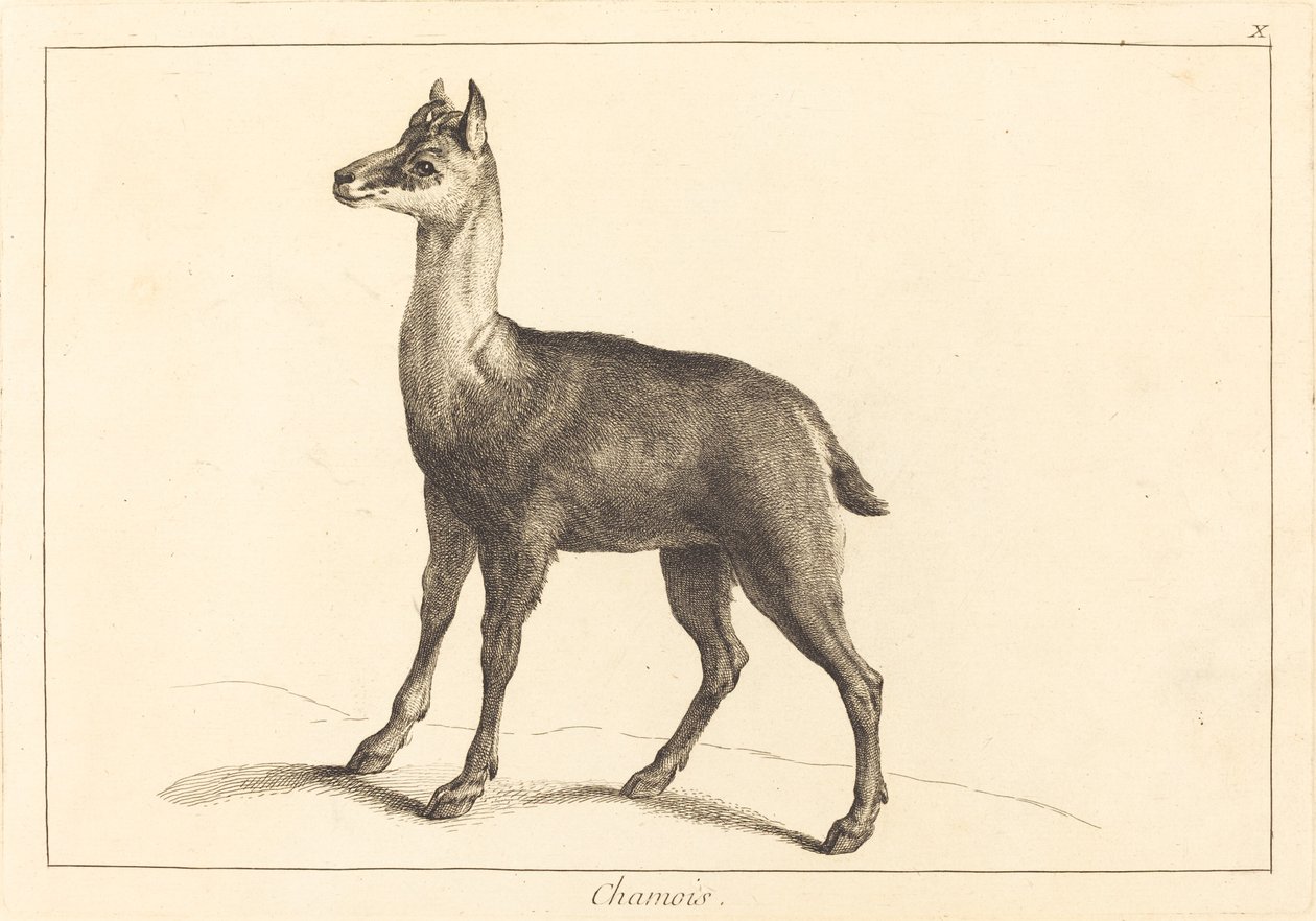 Güderi (güderi) by Jacques Philippe Le Bas and Jean Eric Rehn after Jean Baptiste Oudry