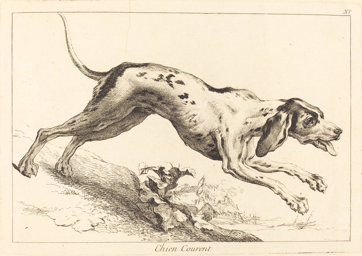 Chien Courent (Koşan Tazı) by Jacques Philippe Le Bas and Jean Eric Rehn after Jean Baptiste Oudry