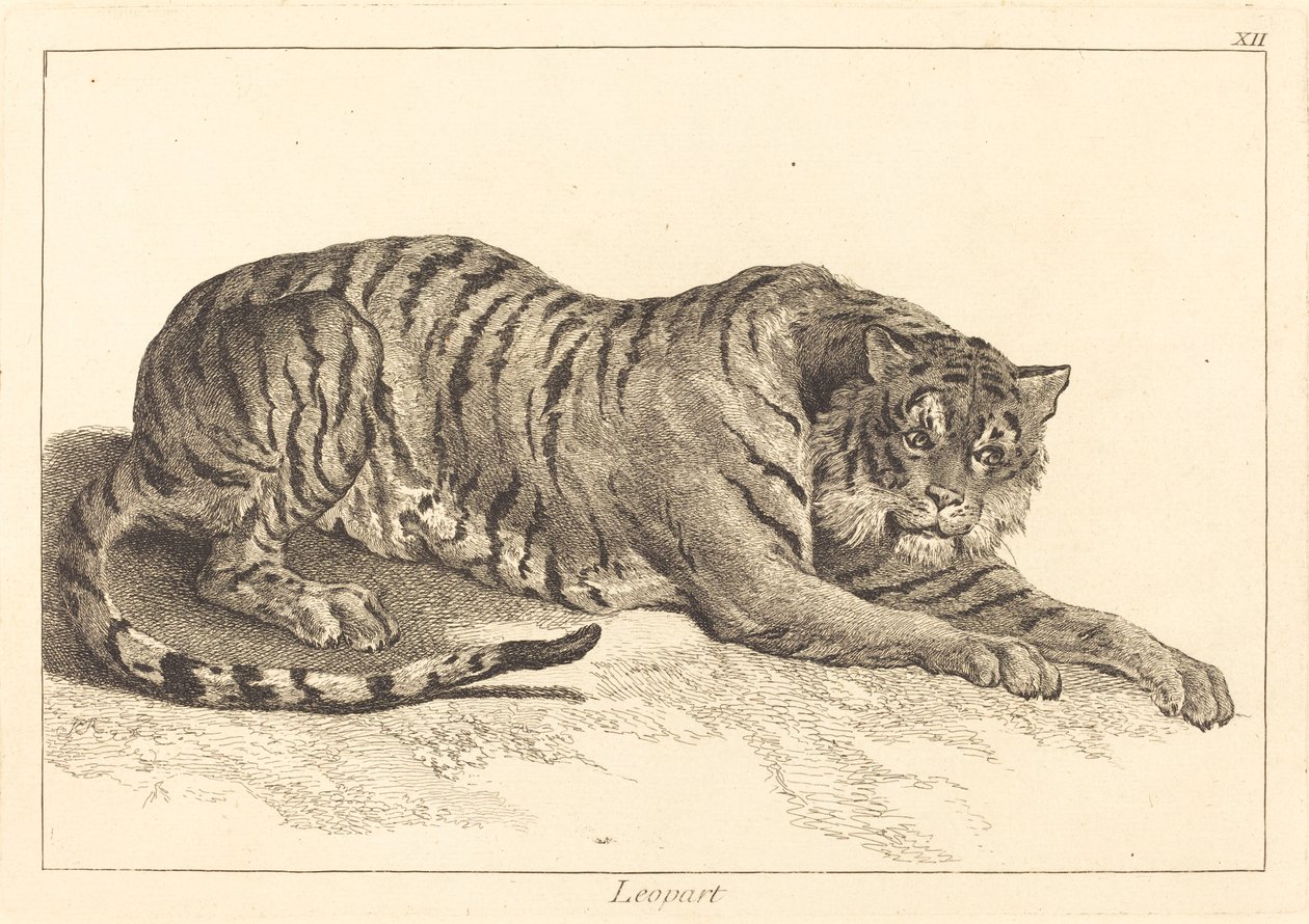 Leopar (Leopar veya Kaplan) by Jacques Philippe Le Bas and Jean Eric Rehn after Jean Baptiste Oudry
