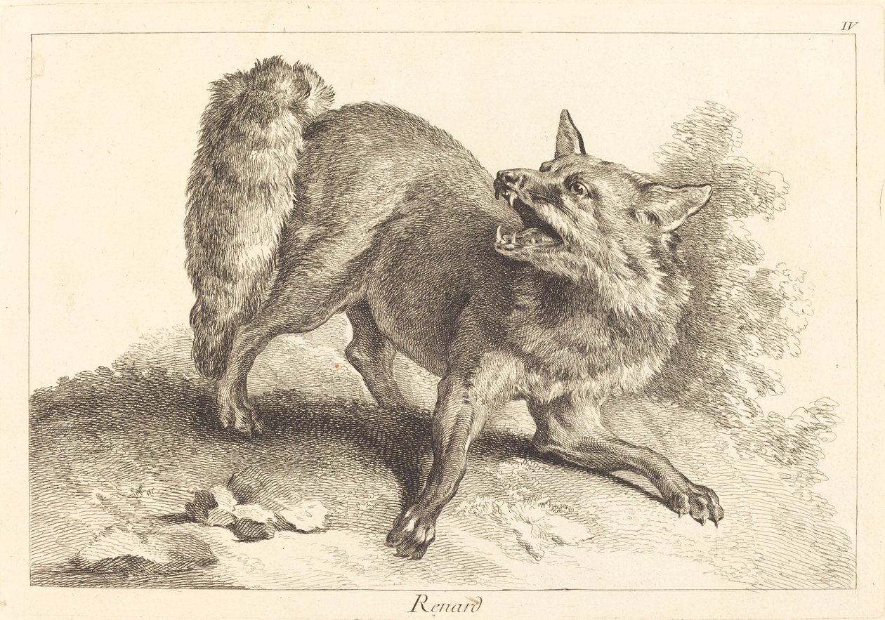 Renard (Tilki) by Jacques Philippe Le Bas and Jean Eric Rehn after Jean Baptiste Oudry