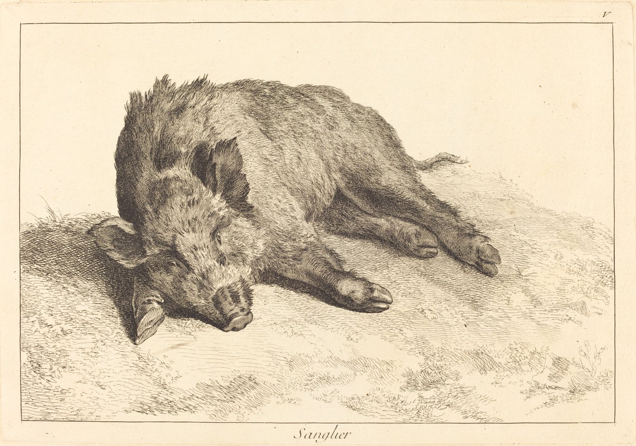 Sanglier (Yaban Domuzu Yatıyor, Sola Dönüyor) by Jacques Philippe Le Bas and Jean Eric Rehn after Jean Baptiste Oudry