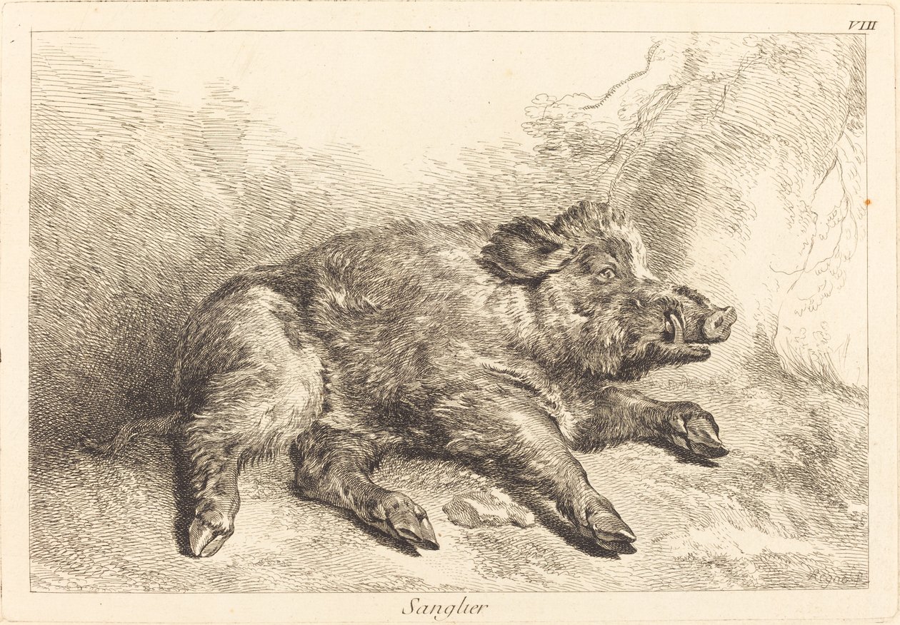Sanglier (Yaban Domuzu Yatıyor, Sağa Dönüyor) by Jacques Philippe Le Bas and Jean Eric Rehn after Jean Baptiste Oudry