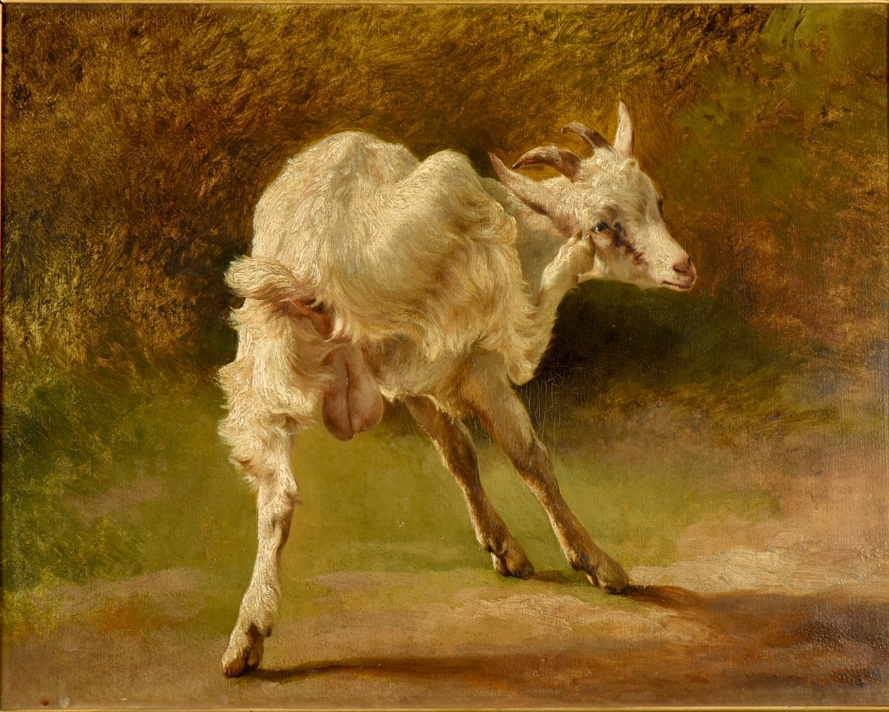  by Jacques Raymond Brascassat