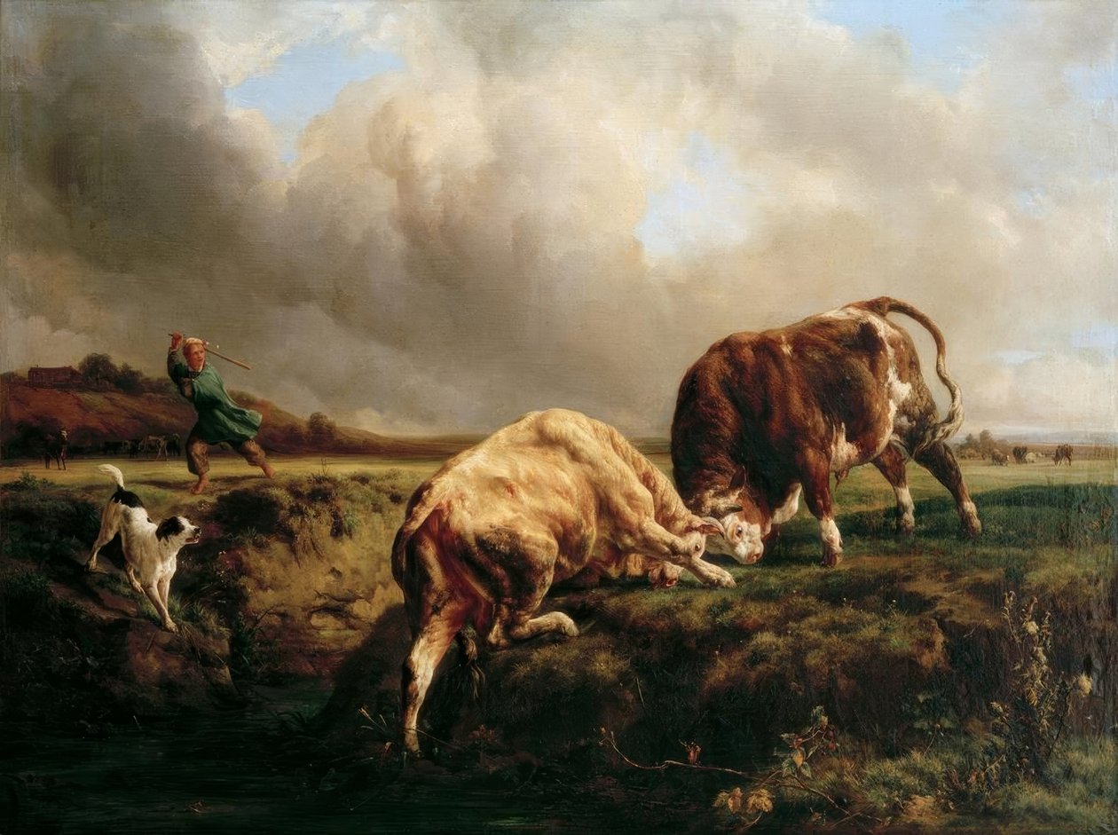 boğa güreşi by Jacques Raymond Brascassat