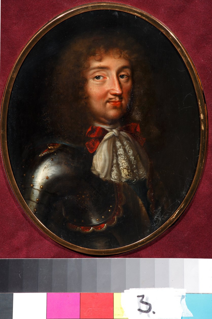 Louis XIV, Fransa Kralı (1638-1715) by Jacques Samuel Bernard