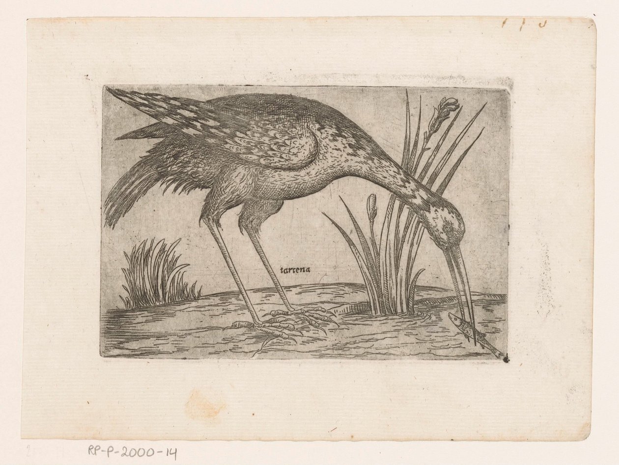 Vogel Tartena (nesne üzerindeki başlık) Vogels (dizi adı) by Jacques de Fornazeris (possibly)