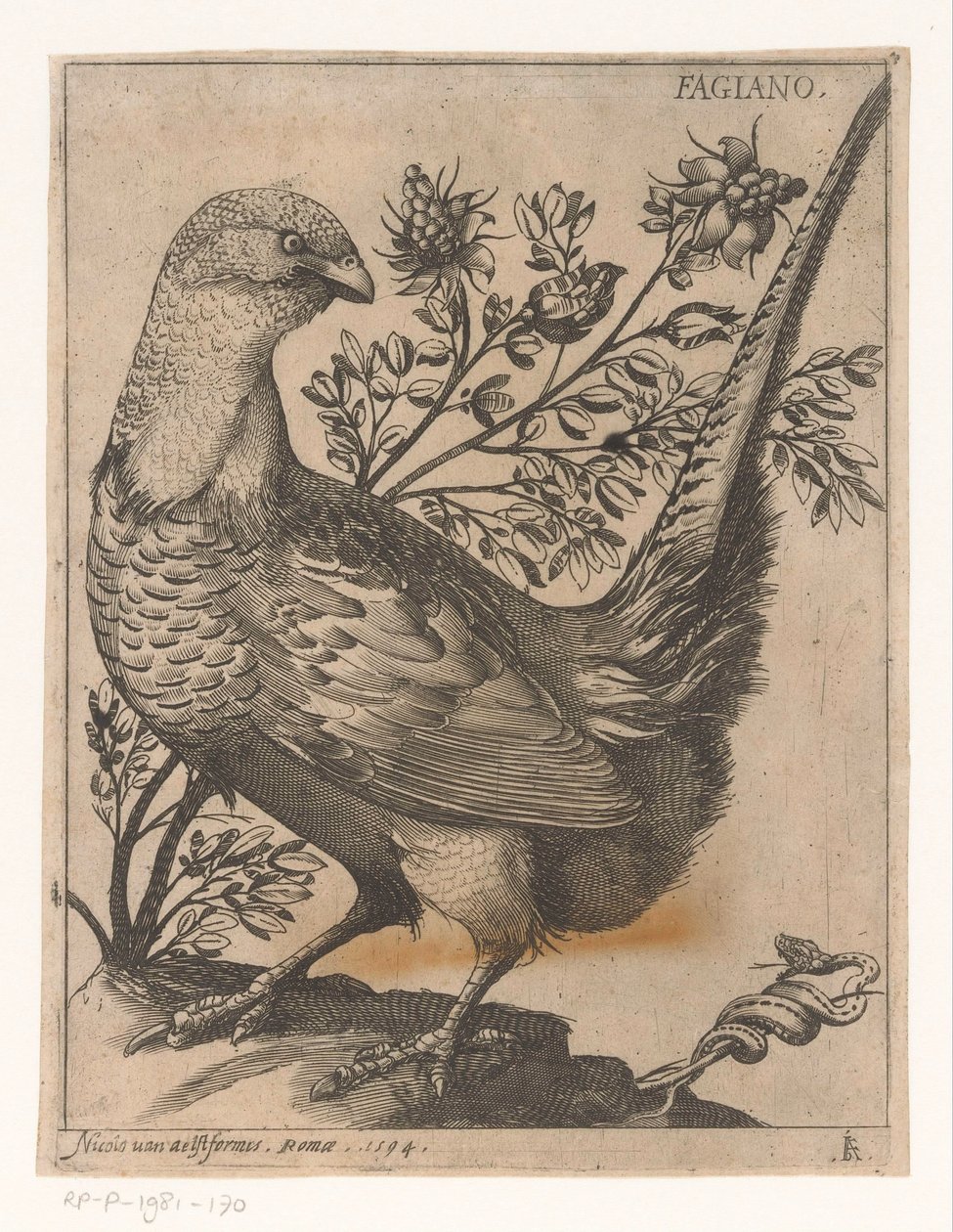 Sülün Fagiano (nesne üzerindeki başlık) Nine Birds (dizi adı) by Jacques de Fornazeris