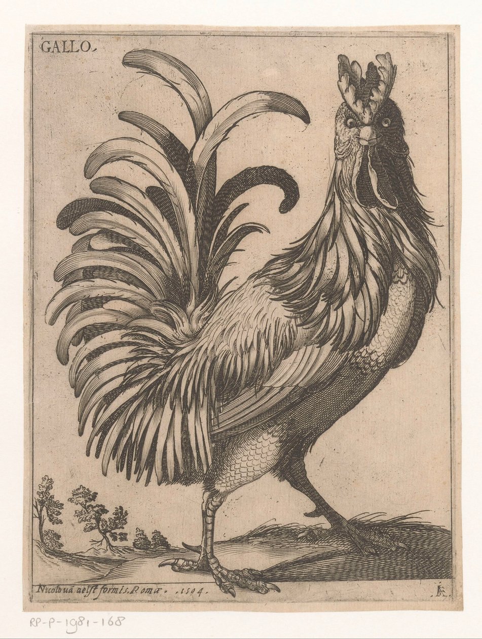 horoz Gallo (nesne üzerindeki başlık) Nine Birds (dizi adı) by Jacques de Fornazeris