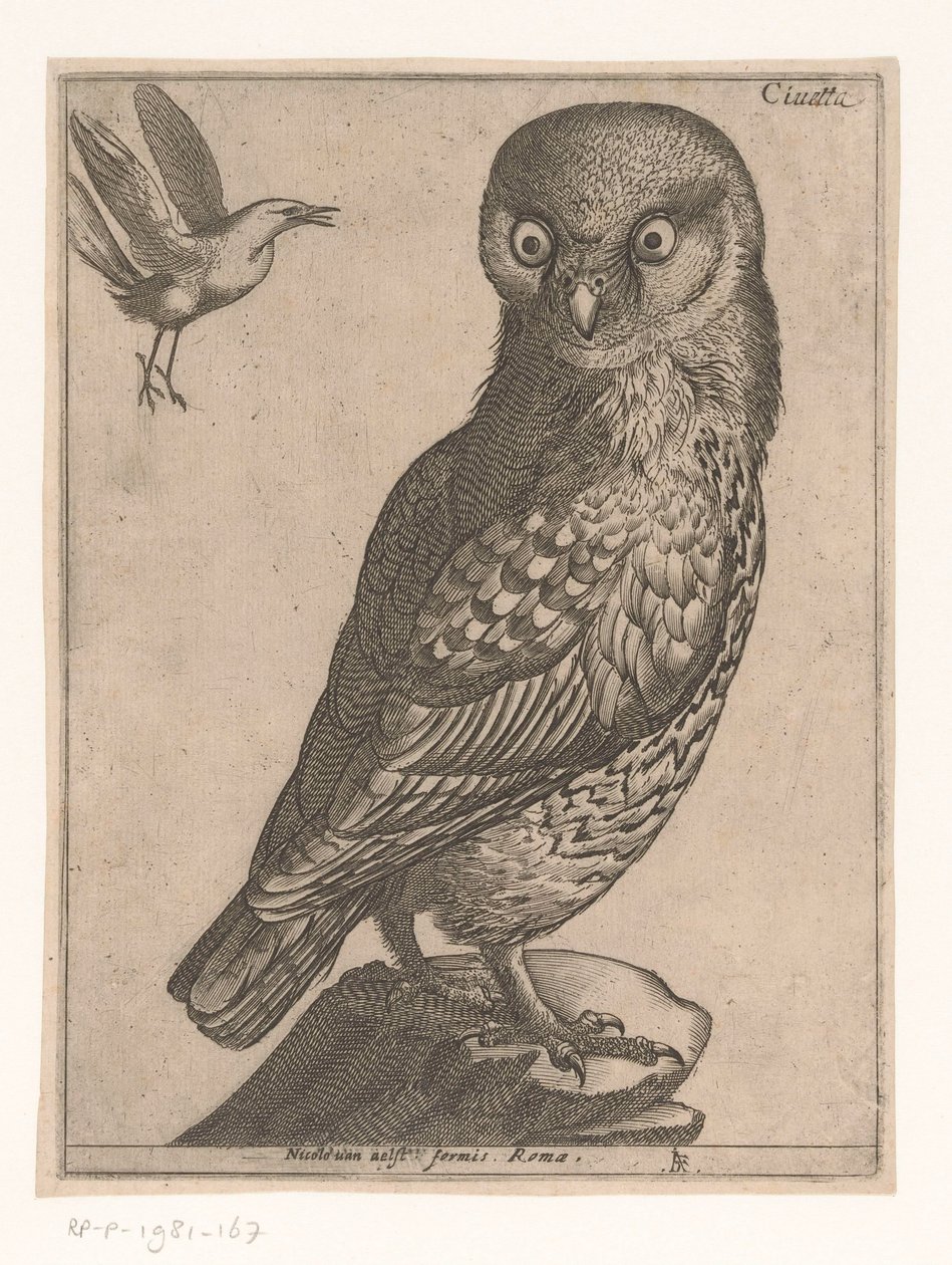 küçük baykuş Civetta (nesne üzerindeki başlık) Nine Birds (dizi adı) by Jacques de Fornazeris