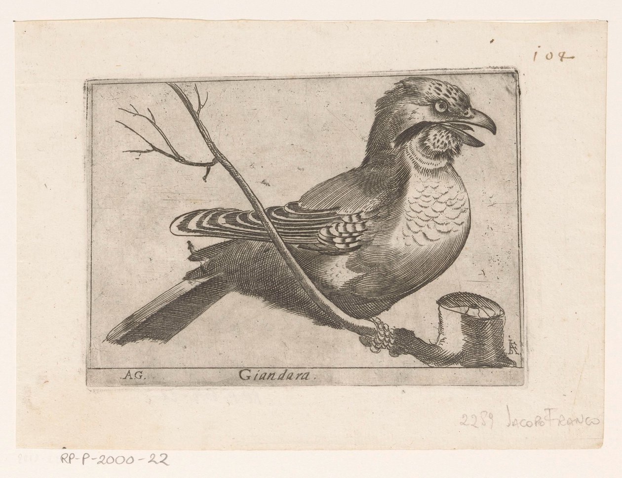 Jay (Garrulus glandarius) Giandara (nesne üzerindeki başlık) Kuşlar (dizi adı) by Jacques de Fornazeris