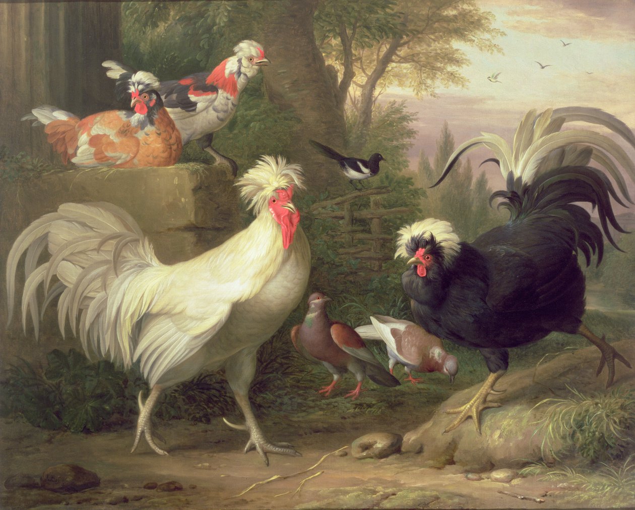 Horozlar ve Güvercinler by Jakob Bogdani or Bogdany