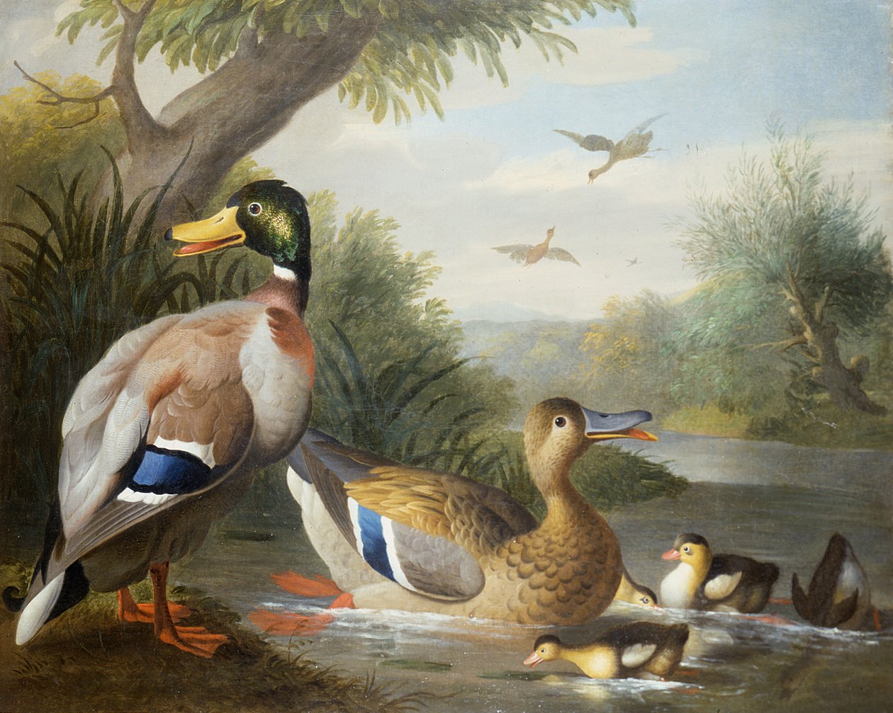 Nehir Manzarasında Ördekler by Jakob Bogdani or Bogdany