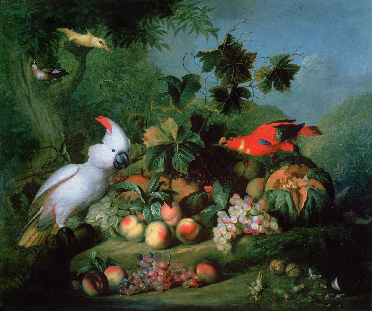 Meyve ve Kuşlar by Jakob Bogdani or Bogdany