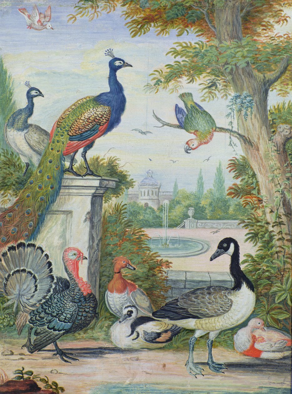 Pitoresk bir Parkta Egzotik Kuşlar ve Yerli Tavuklar, 18. yüzyılın başlarında by Jakob Bogdani or Bogdany