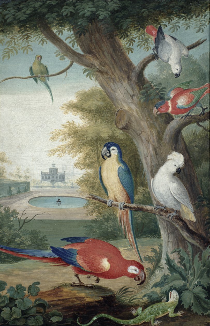Pitoresk bir Parkta Papağanlar ve Kertenkele, 18. yüzyılın başlarında by Jakob Bogdani or Bogdany