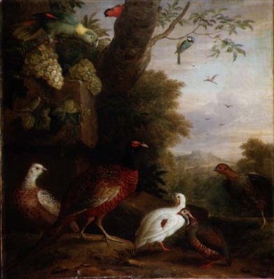 Manzaradaki Kuşlar (tuval üzerine yağlı boya) by Jakob Bogdani or Bogdany