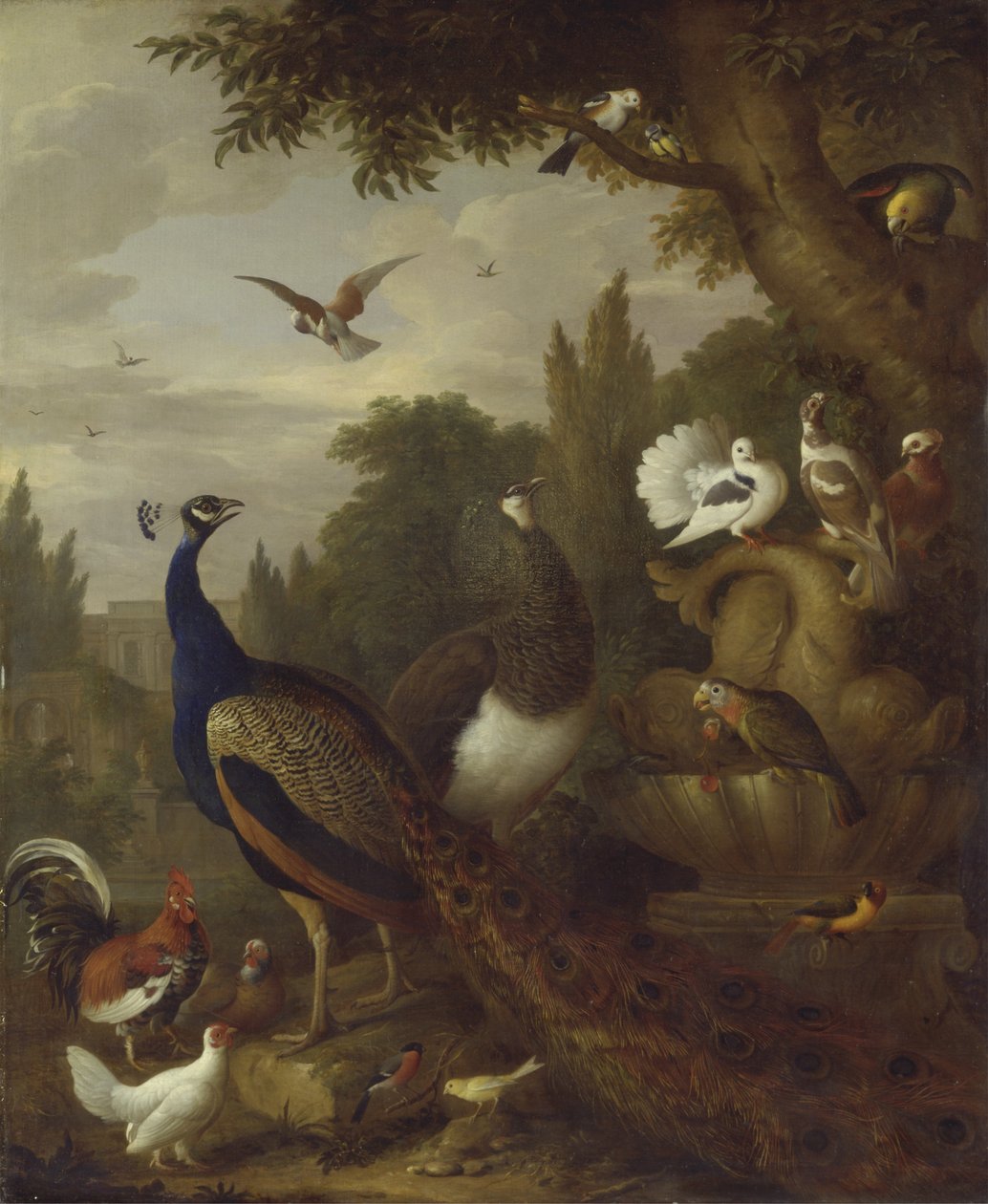 Bir parkta tavus kuşu, tavus kuşu, papağan, kanarya ve diğer kuşlar, c.1708-10 by Jakob Bogdani or Bogdany