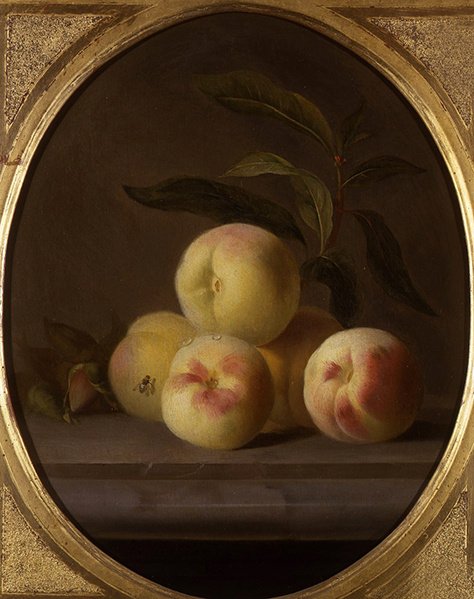 Meyveli Sinek Natürmort (tuval üzerine yağlı boya) by Jakob Bogdani or Bogdany