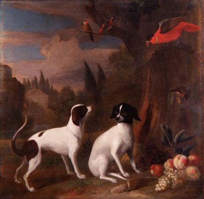 Bir Manzarada İki Köpek by Jakob Bogdani or Bogdany