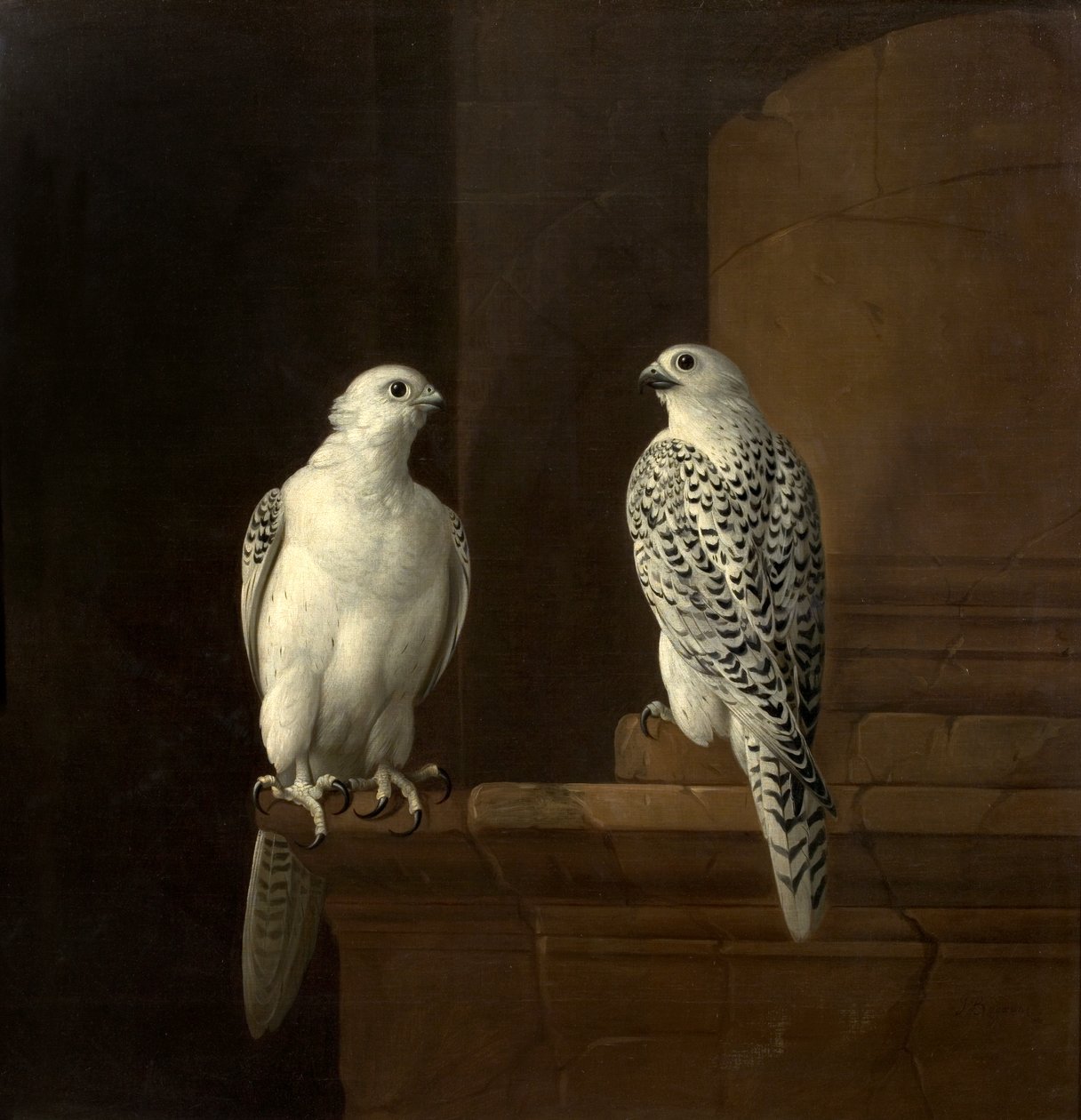 İki İzlanda Şahini by Jakob Bogdani or Bogdany