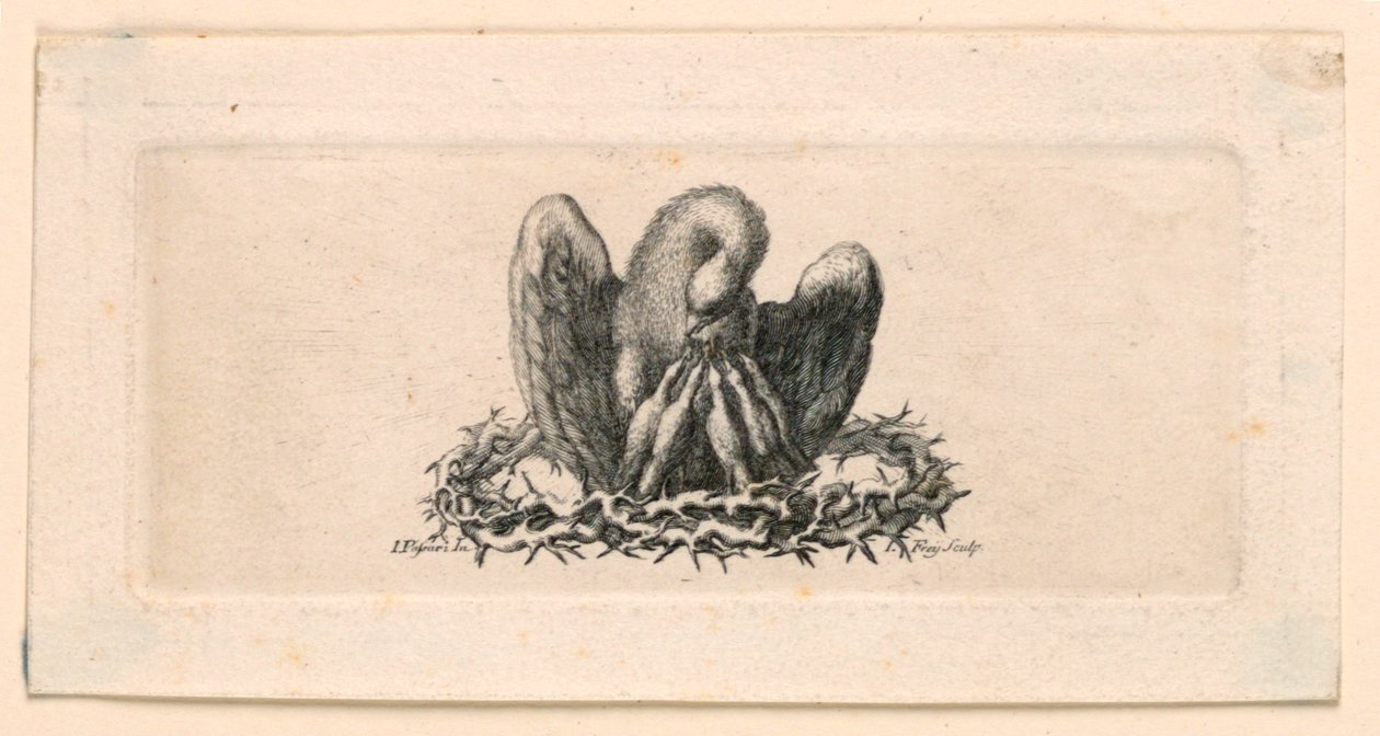 Vinyet, Dikenli Taçtaki Pelikan by Jakob Frey