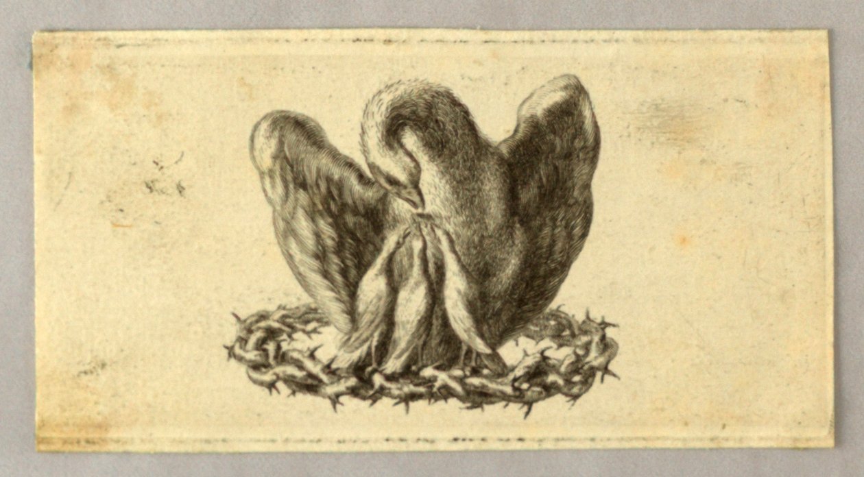 Vinyet, Dikenli Taçtaki Pelikan by Jakob Frey