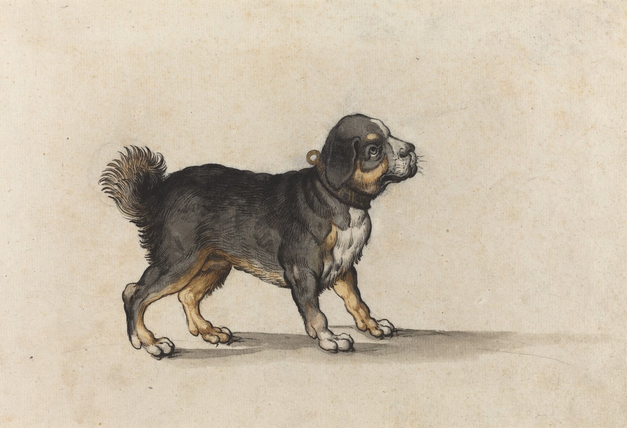 Altın Aletli Yakalı Mastiff by Jakob Walther
