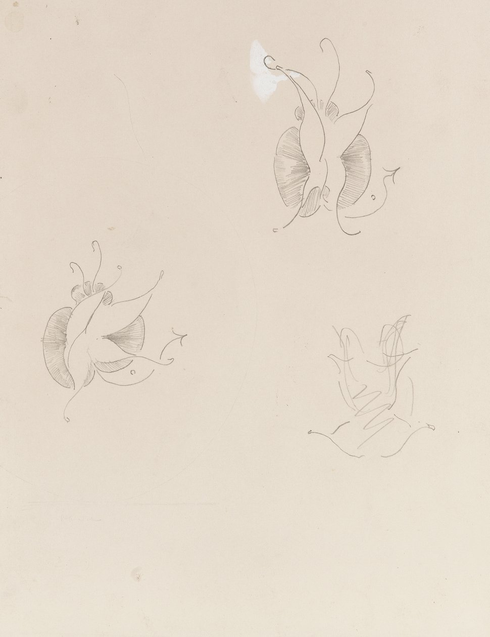 İki Whistler Butterflies ve tahrip olmuş bir eskiz, c.1890 (kalem ve kağıt üzerinde beyaz Çin) by James Abbott McNeill Whistler