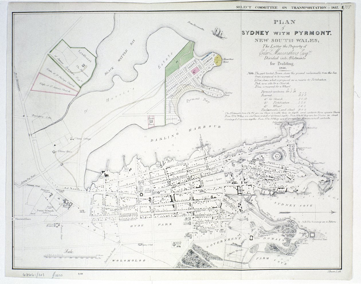 Pyrmont ile Sidney Planı, Yeni Güney Galler, ikincisi Edward Macarthure Esquire
