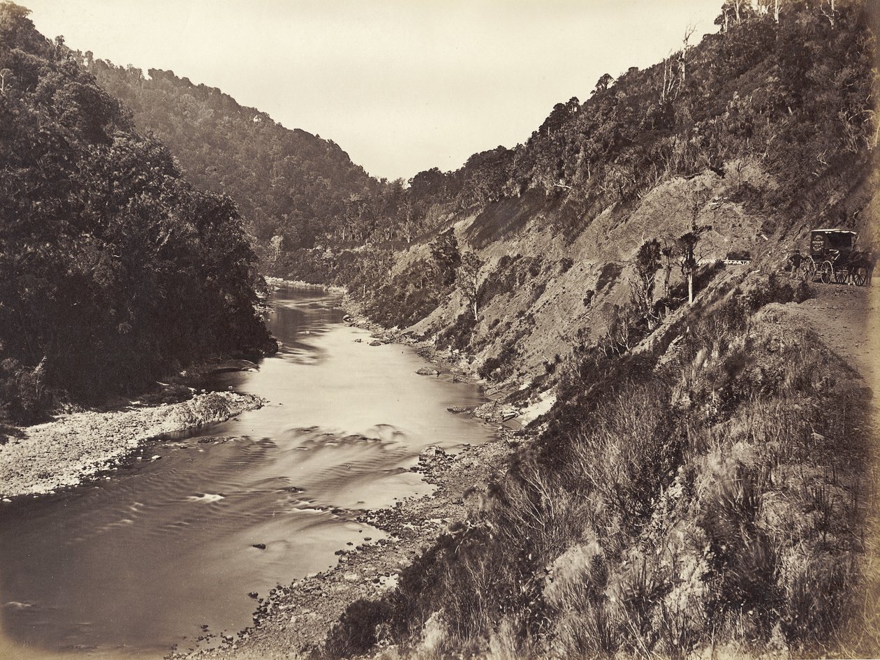 Manawatu Gorge Köprüden 1 Mil, 1878 (albüm baskısı) by James Bragge