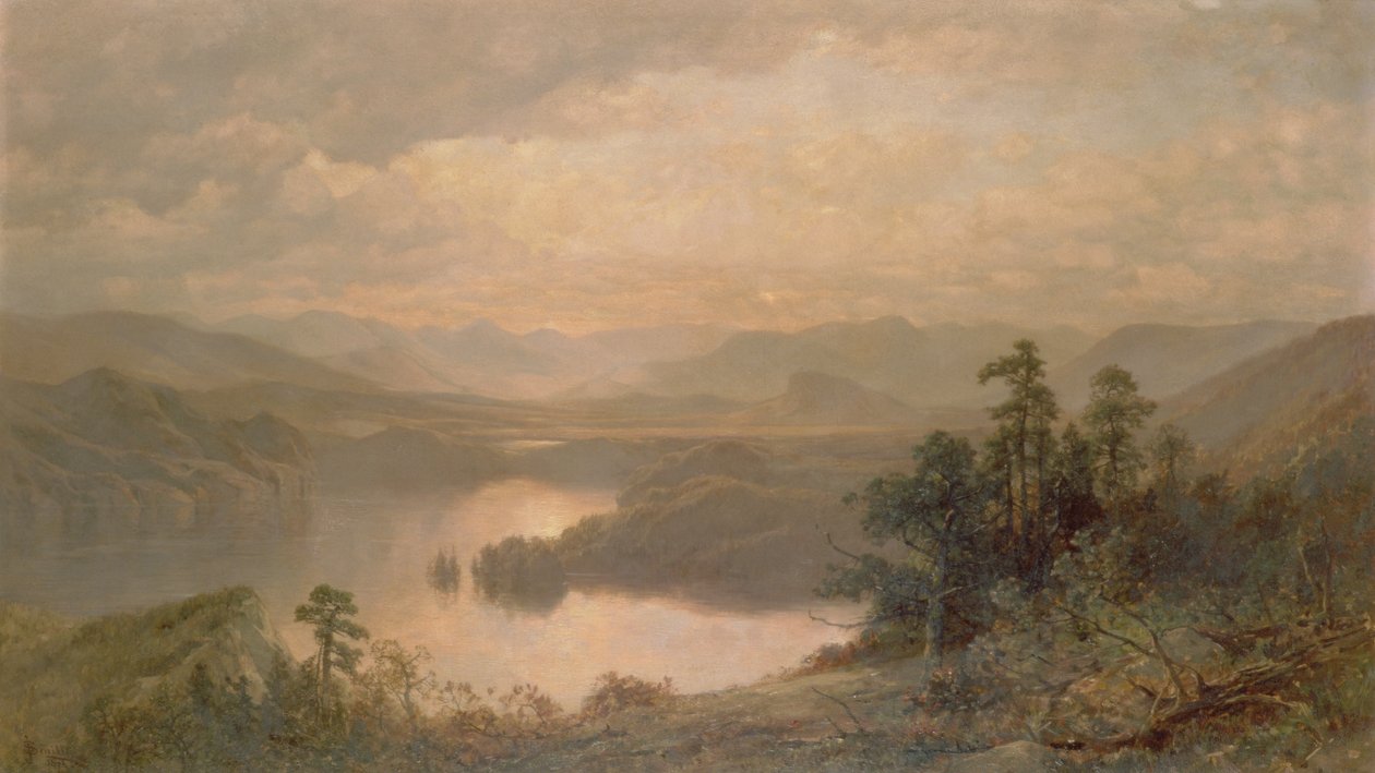 Whiteface