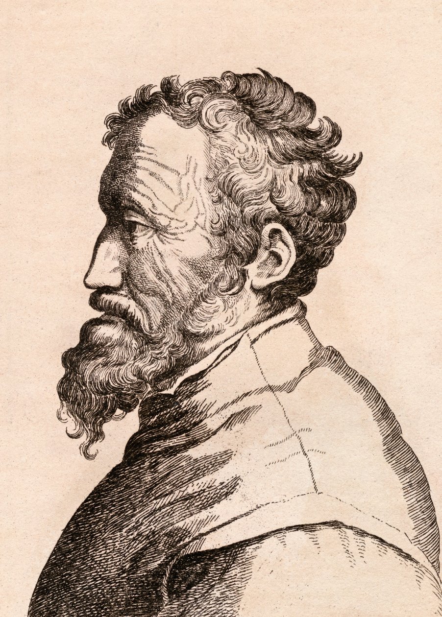 Michelangelo di Lodovico Buonarroti Simoni, 